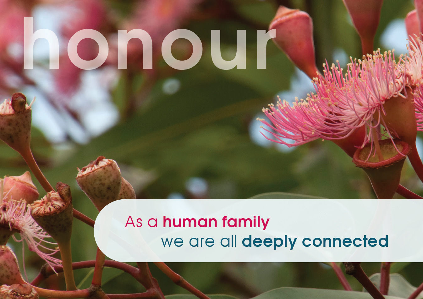 {{this['}{{this['ImageAltTag']}}']}}